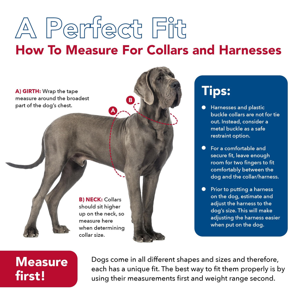 Coastal Pet Comfort Soft Reflective Wrap large-dog usage shows versatile sizing for bigger breeds
