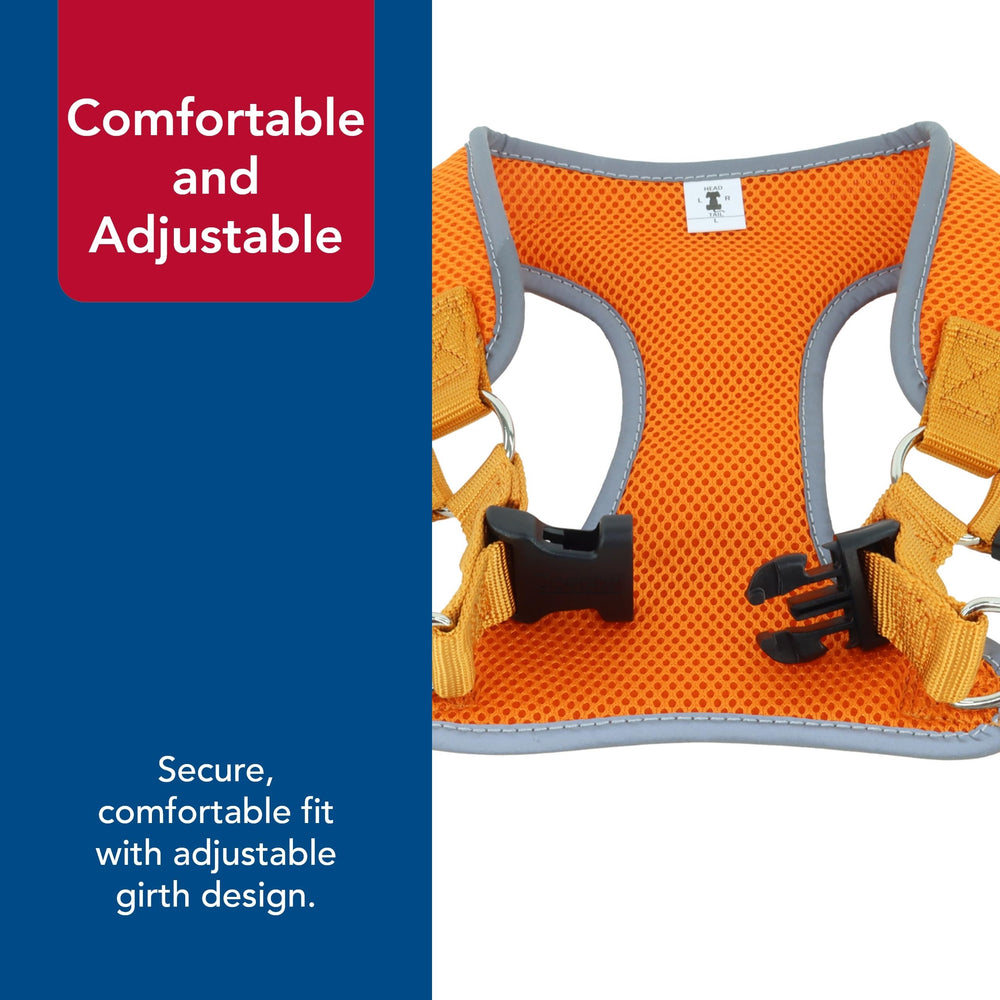 Coastal Pet Comfort Soft Reflective Wrap reflective piping boosts visibility during evening strolls