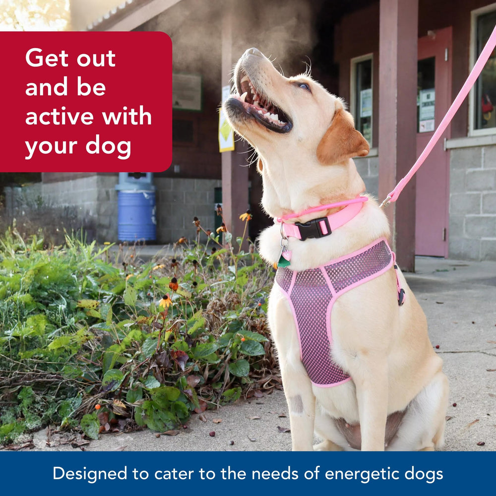 Coastal Pet Comfort Soft Sport Wrap with D-ring design adds control for medium to large dogs