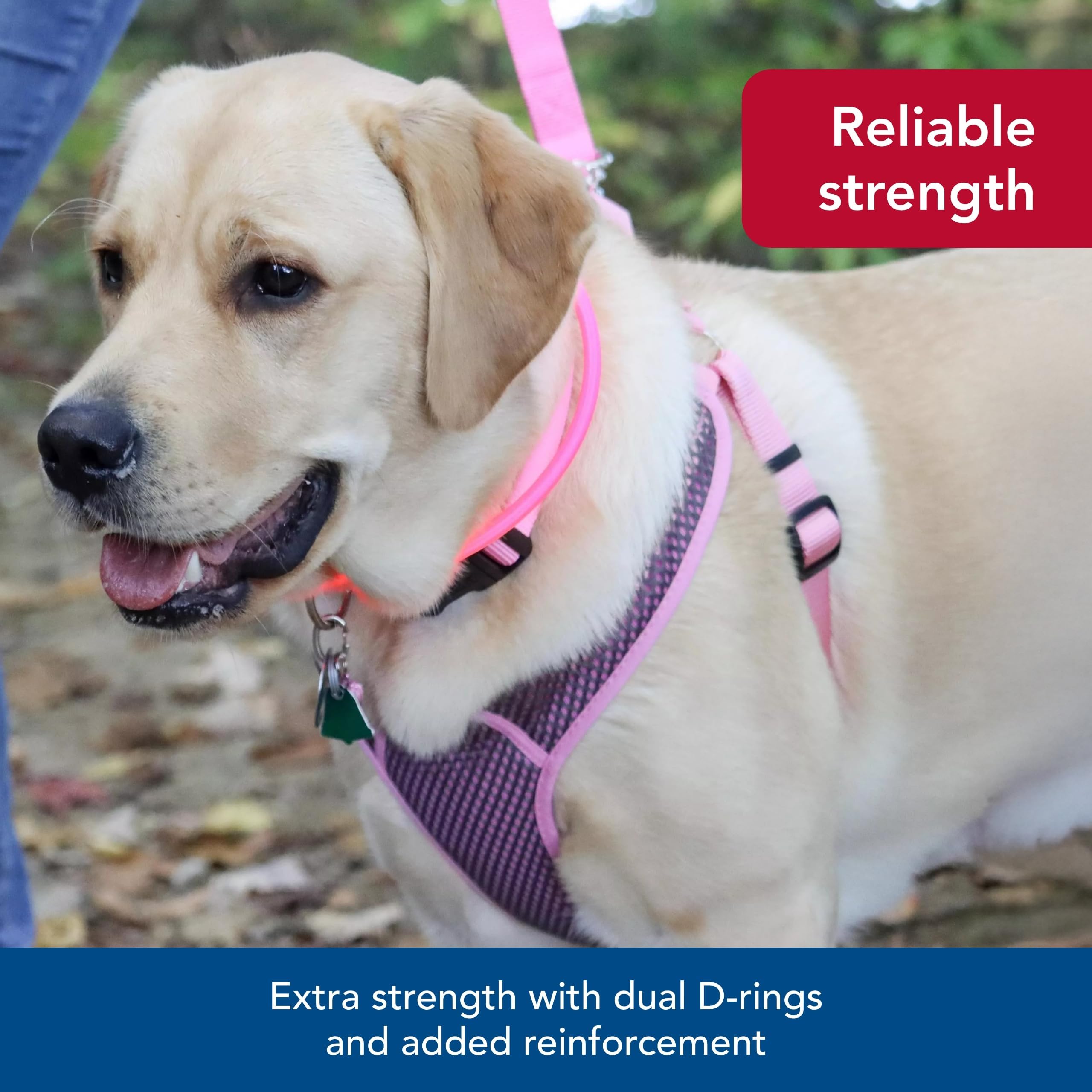 Coastal Pet Comfort Soft Sport Wrap durable materials for daily use