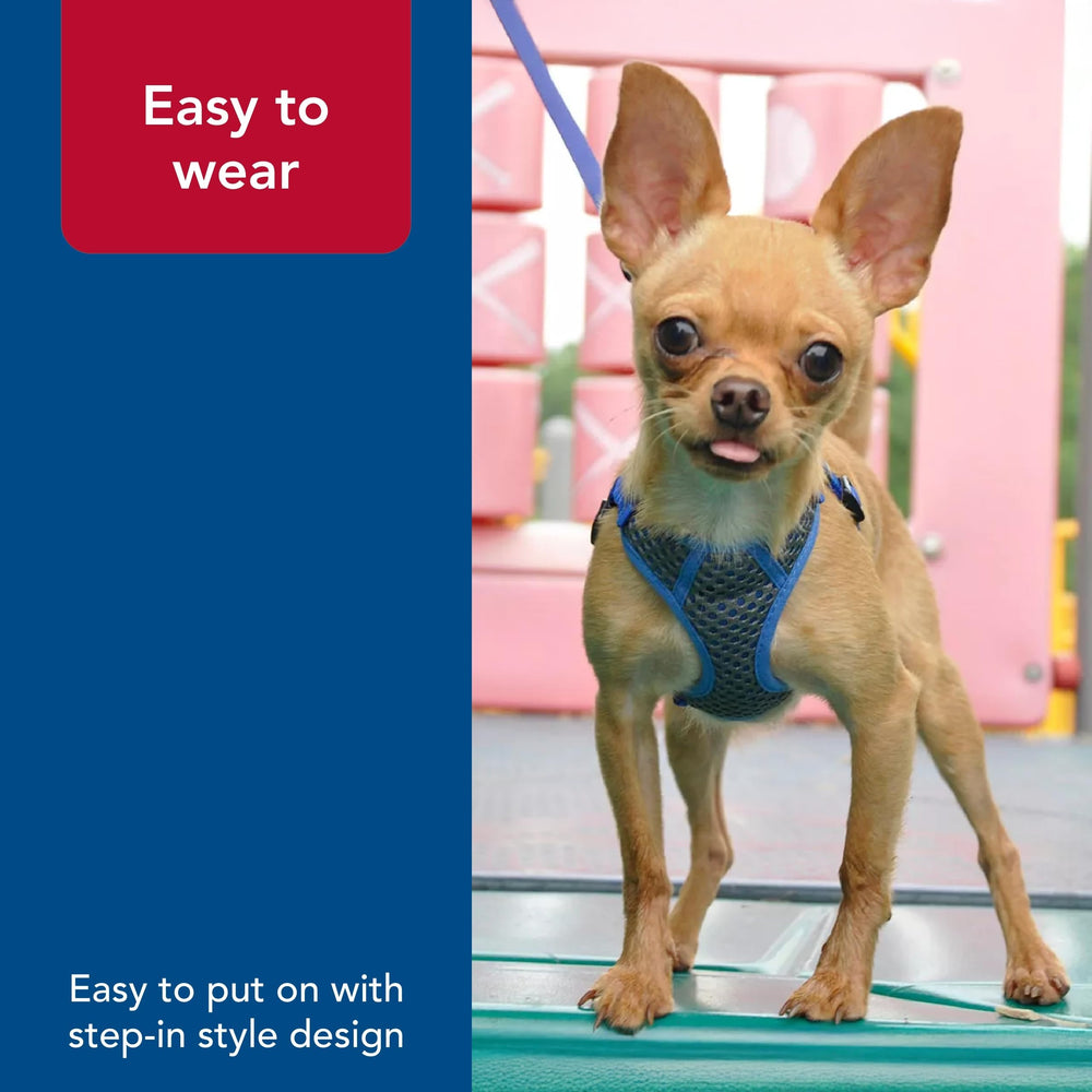 Coastal Pet Comfort Soft Sport Wrap grey blue colorway suits everyday outings with style