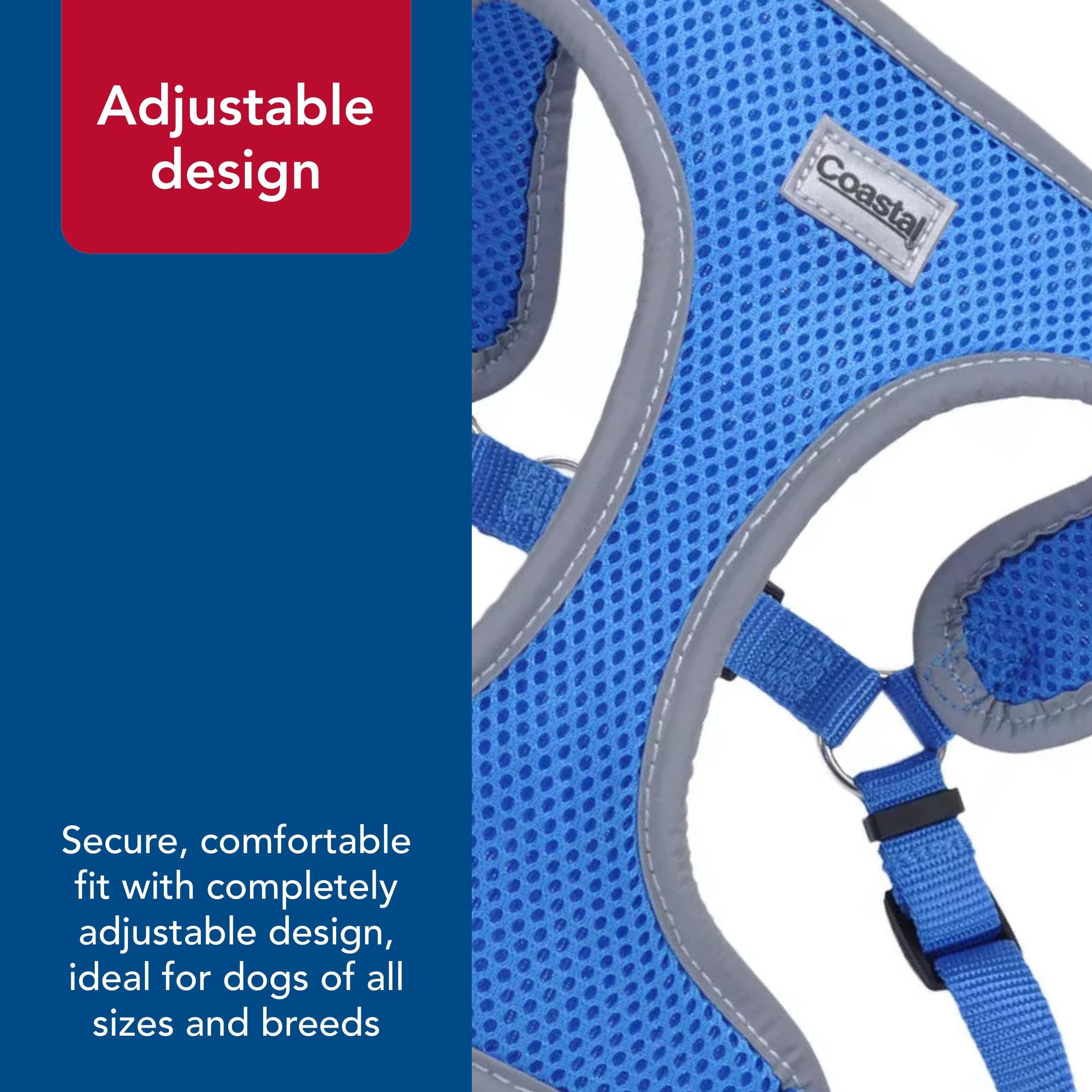 Coastal Pet Comfort Soft Wrap Harness dog-park-walk shows comfortable no-pull design for calm strolls.