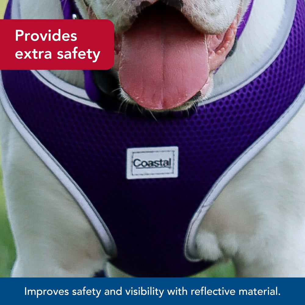 Coastal Pet Comfort Soft Wrap Harness dual D-rings close-up for added strength