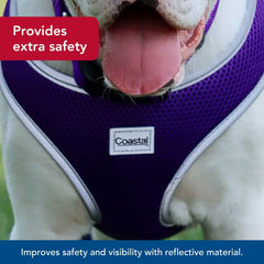 Coastal Pet Comfort Soft Wrap Harness dual D-rings close-up for added strength