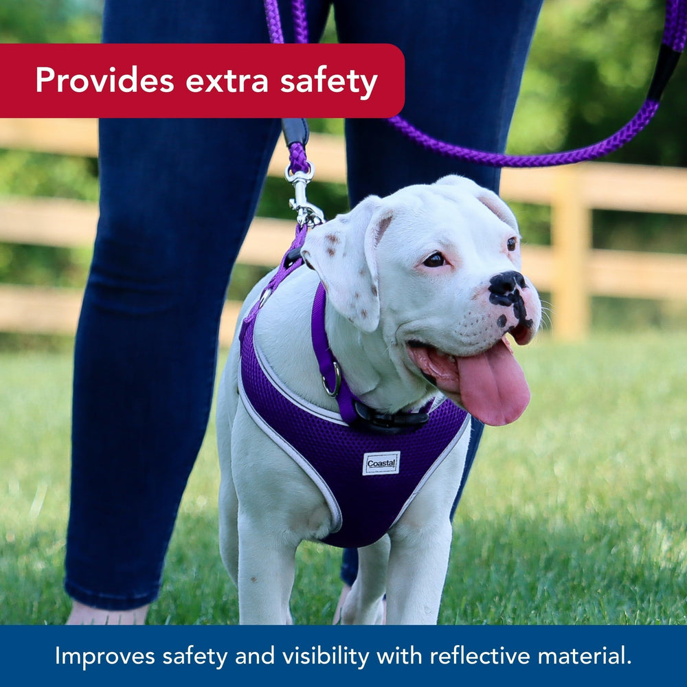 Coastal Pet Comfort Soft Wrap Harness purple dual D-rings provide stronger leash connection