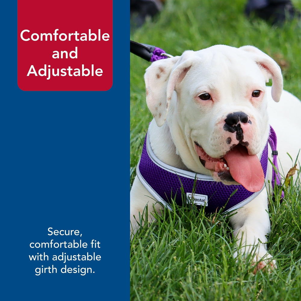 Coastal Pet Comfort Soft Wrap Harness reflective piping close-up enhances night safety