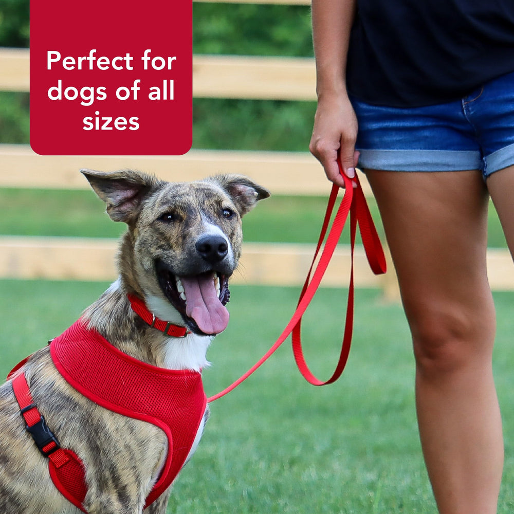 Correa Coastal Pet resistente a tirones para perros activos.