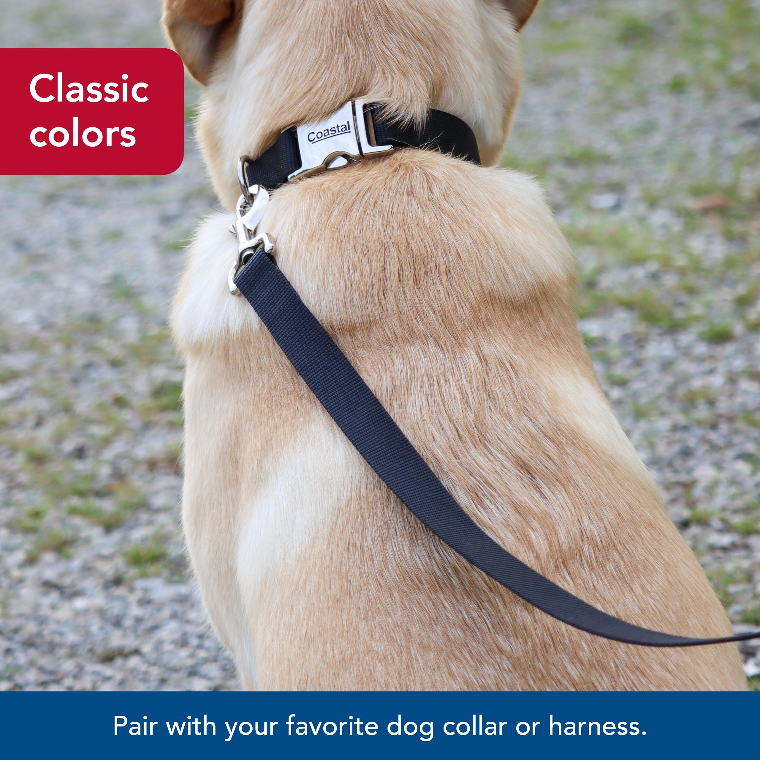 Coastal Pet correa cómoda y segura para paseos diarios.