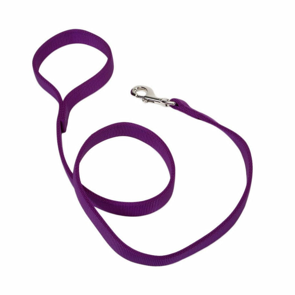 Coastal Pet double-ply dog leash purple bolt-snap attachment for secure walks