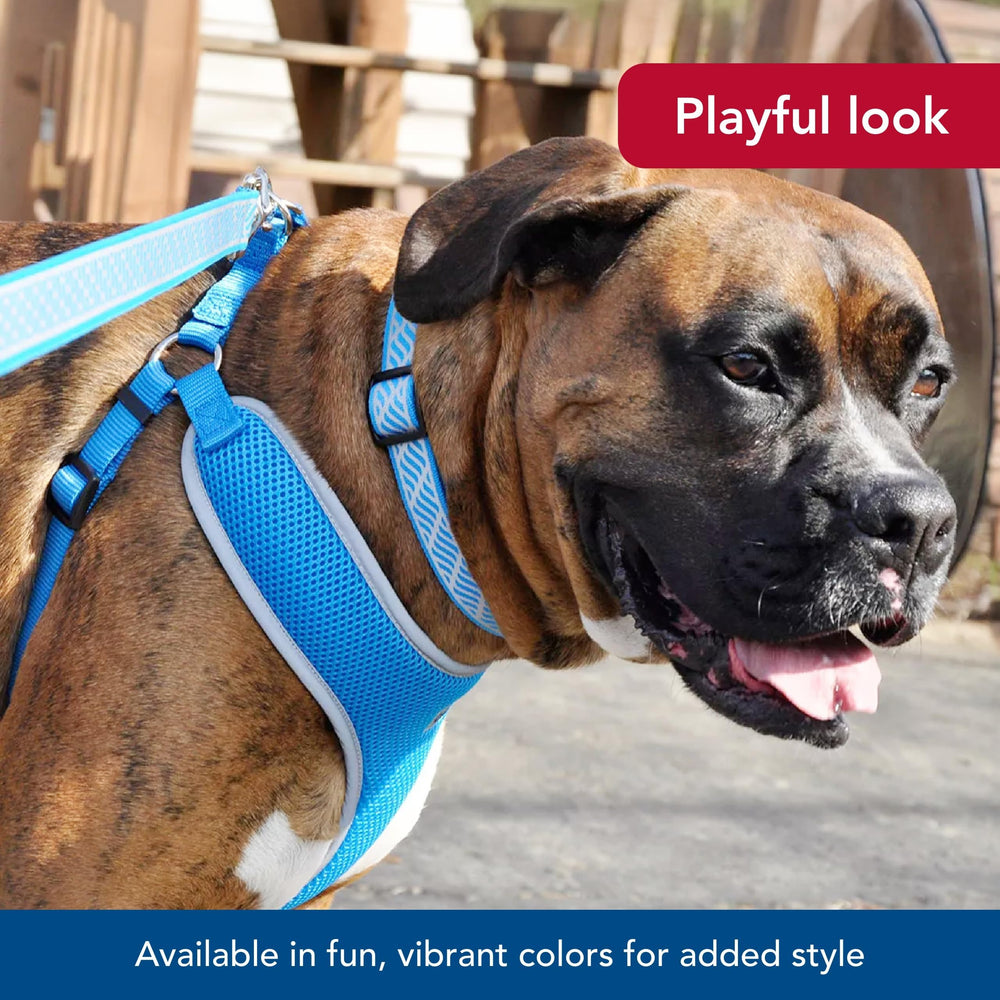 Coastal Pet durable dual metal D-rings for strong control at the park