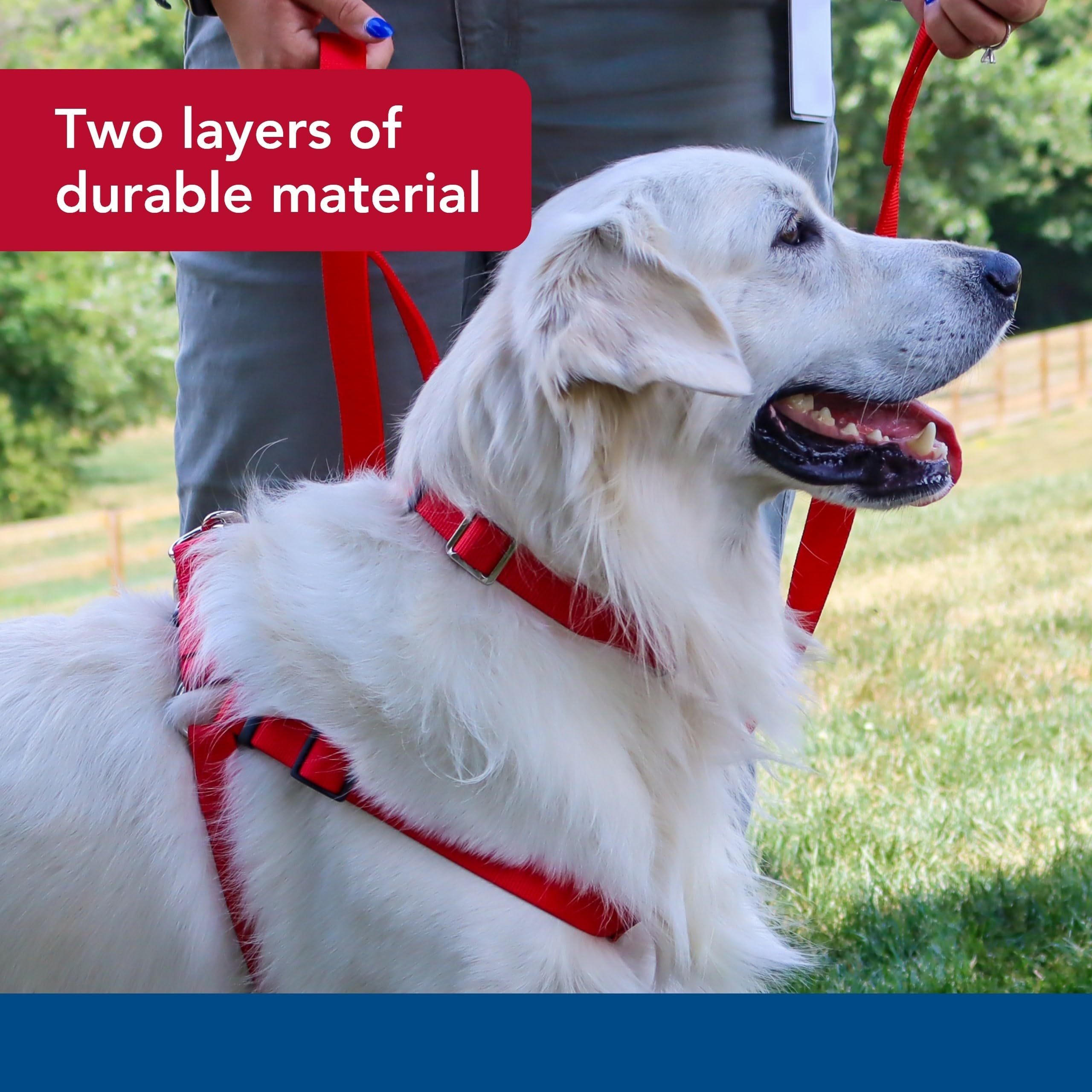 Coastal Pet durable-nylon leash closeup highlights two-layer strength.
