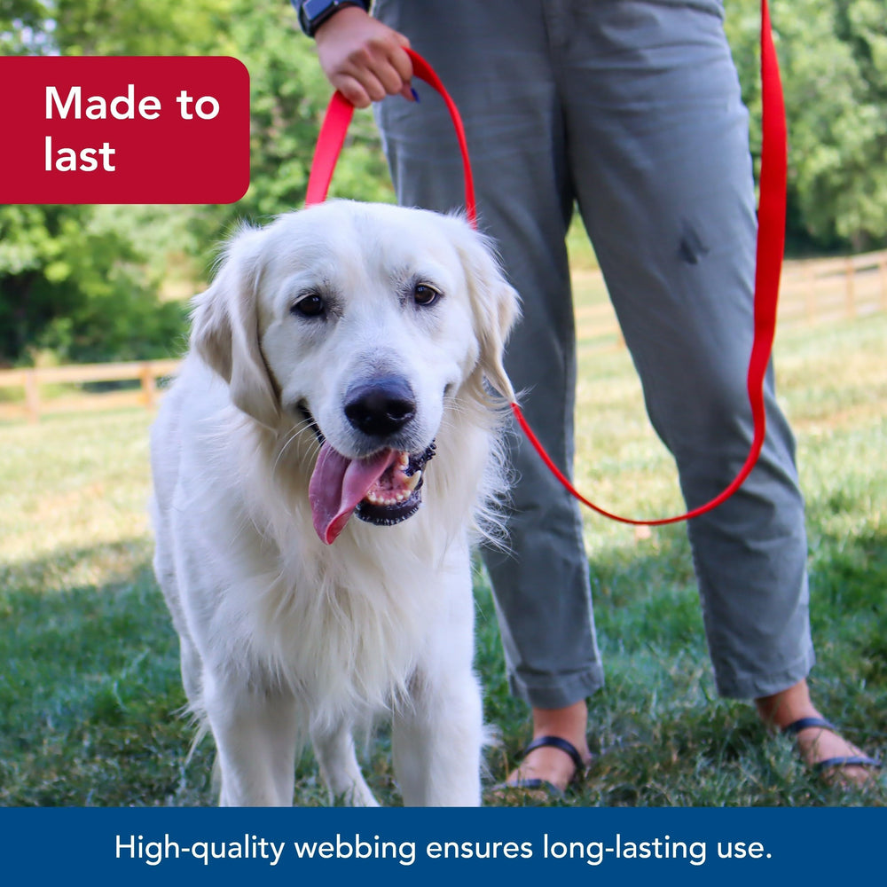 Coastal Pet fade-resistant red leash for long-lasting visibility.
