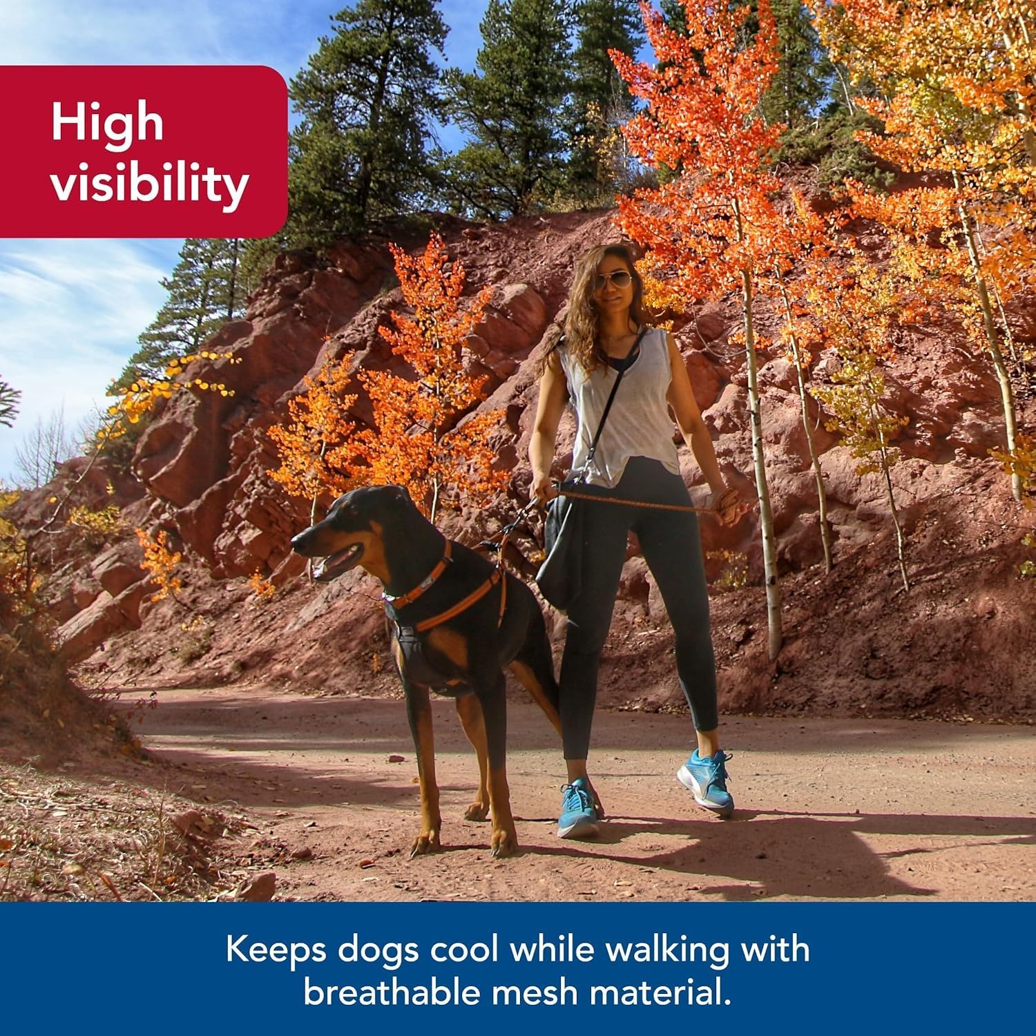 Coastal Pet K9 Explorer campfire-orange-large stands out during outdoor adventures.