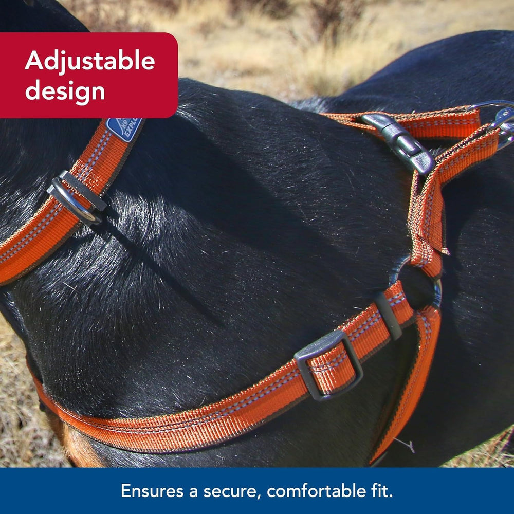 Coastal Pet K9 Explorer Berry harness step-in design facilitates quick, stress-free on-boarding for pets.