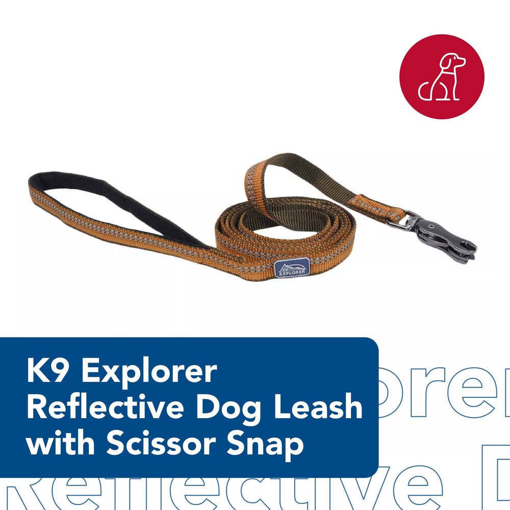 Coastal Pet K9 Explorer leash in durable nylon supports long-lasting daily walks.