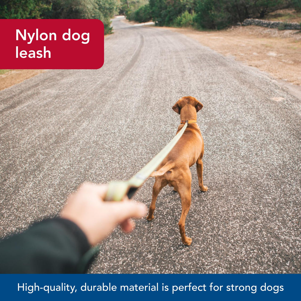 Coastal Pet K9 Explorer nylon resistente para uso diario y paseo constante.