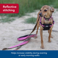 Coastal Pet K9 Explorer one-handed scissor snap enables quick secure latching