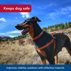 Coastal Pet K9 Explorer plush-chest-pad provides soft comfort against chest and secure fit.