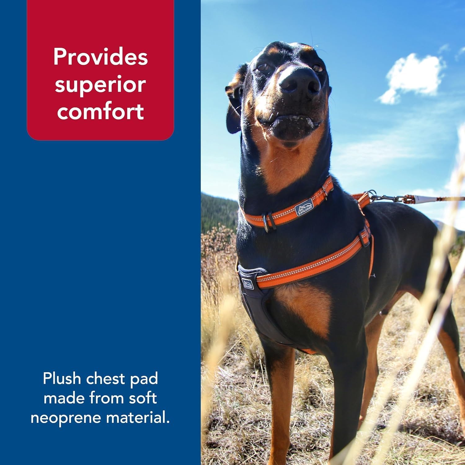 Coastal Pet K9 Explorer safety-walk-visibility helps you spot your dog at a distance.