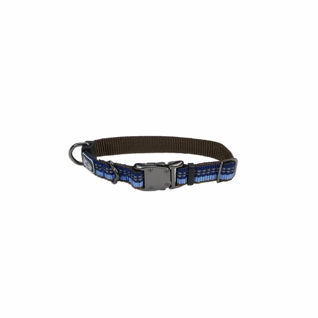 Coastal Pet K9 Explorer sapphire collar visible on daily walks for safety.