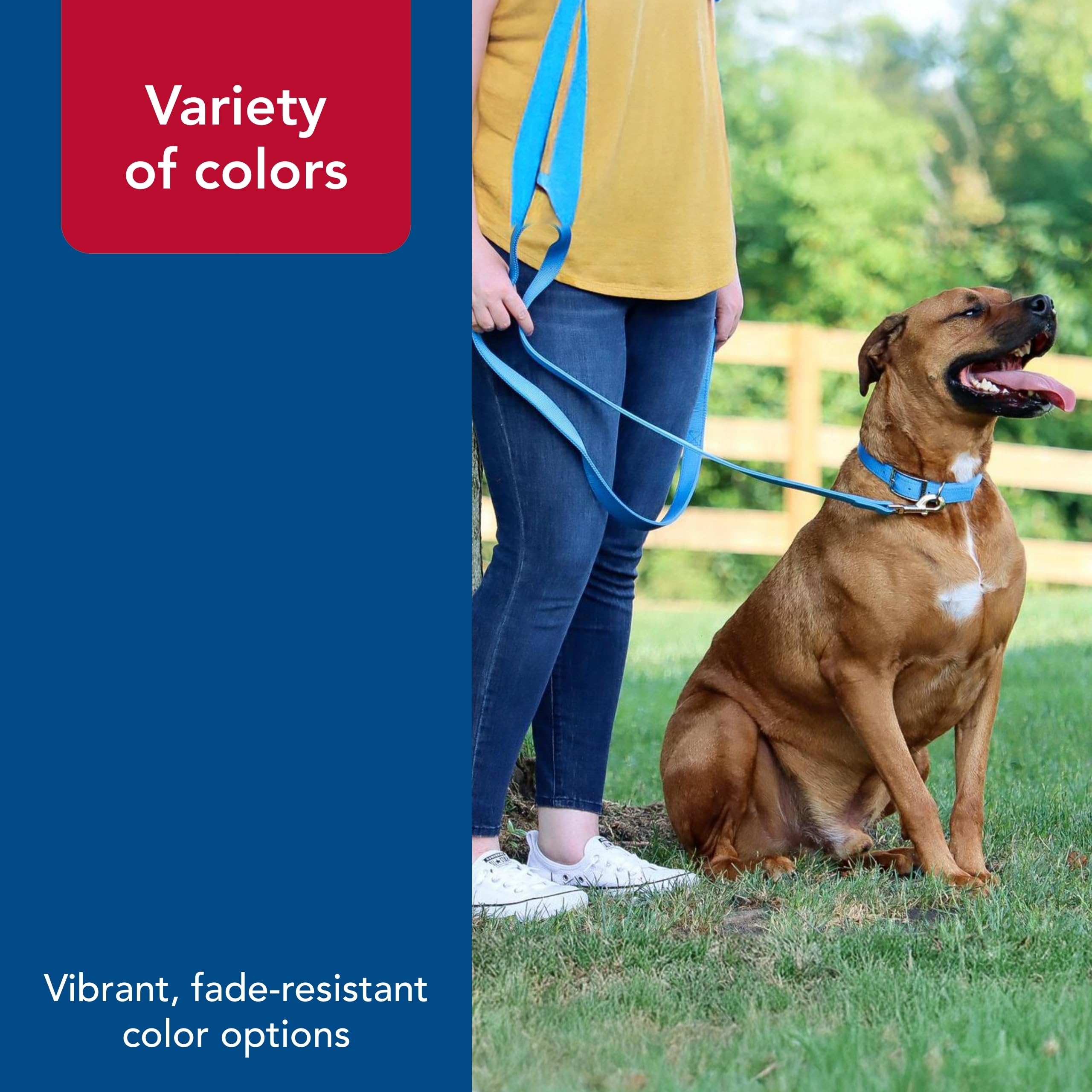 Coastal Pet large-dog friendly leash demonstrating strength and reliability.
