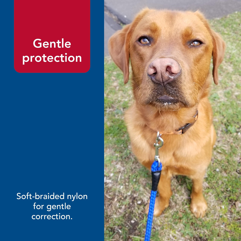 Coastal Pet leash designed for strong dogs with comfortable, soft braided grip.