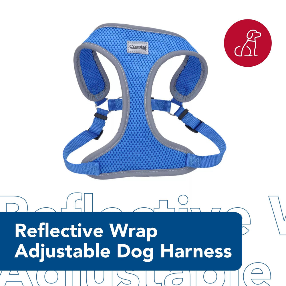 Coastal Pet no-pull harness featuring dual D-rings for secure control during outdoor play