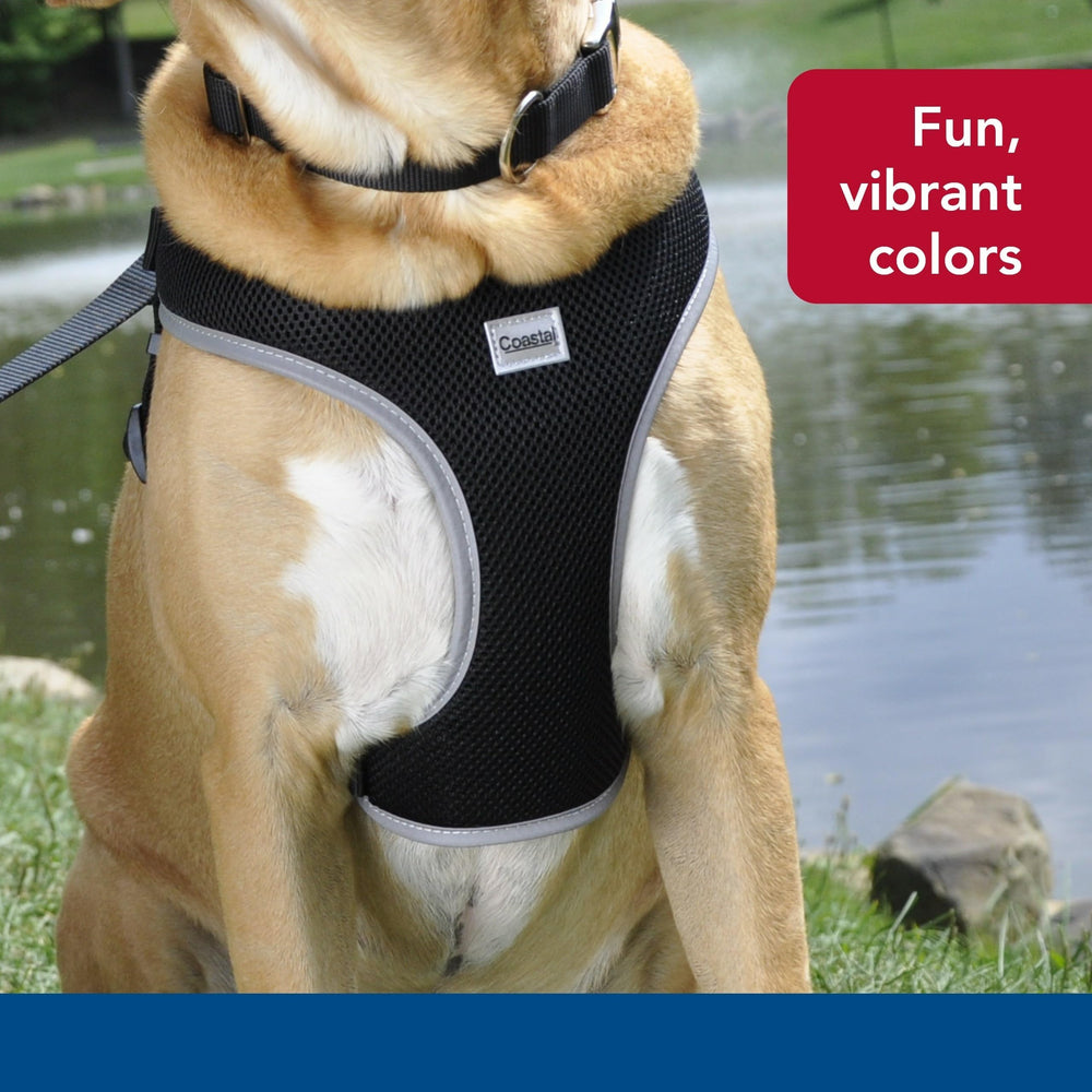 Coastal Pet patch branding reinforces trust and quality for everyday wear