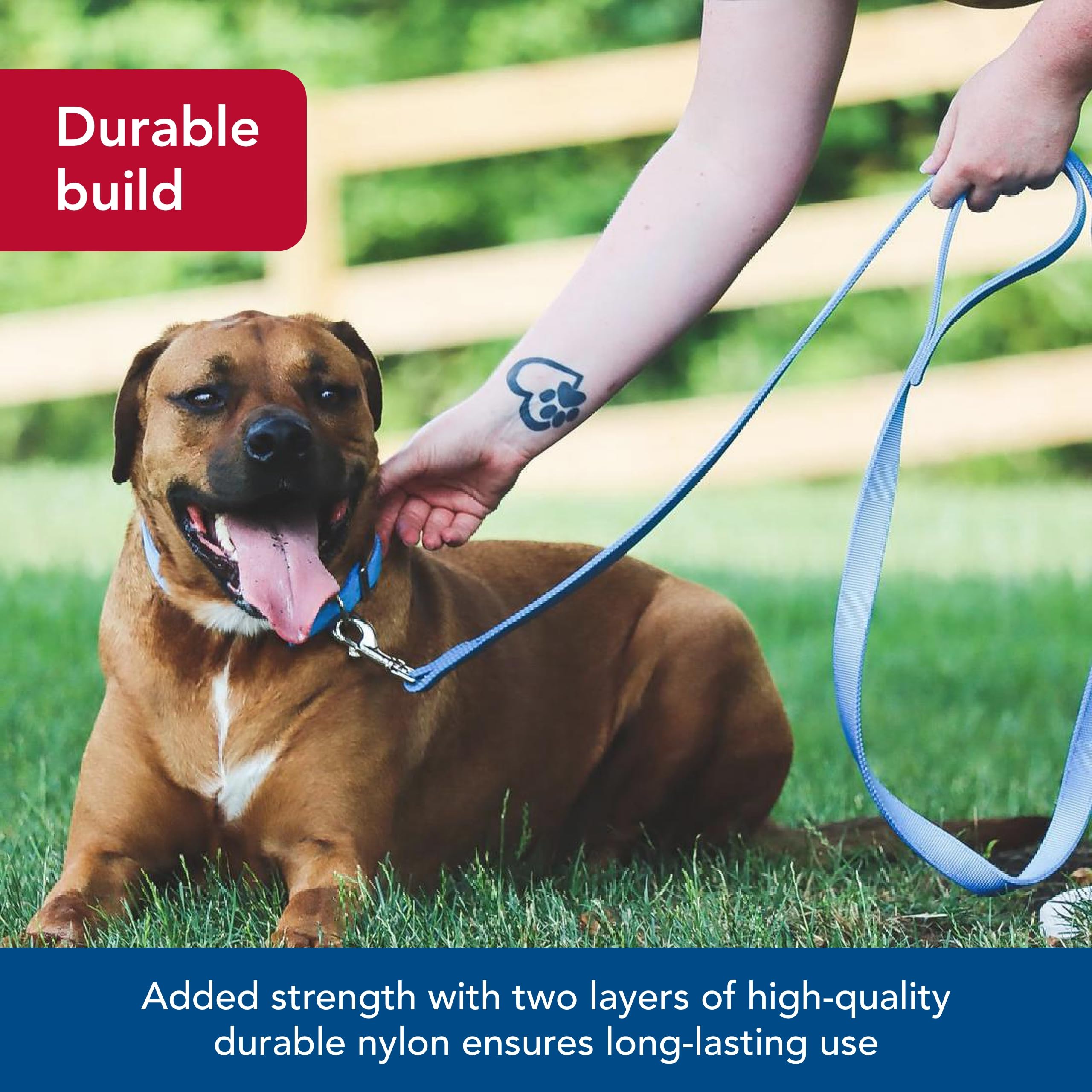 Coastal Pet pink bright leash color emphasizes visibility during dawn or dusk.