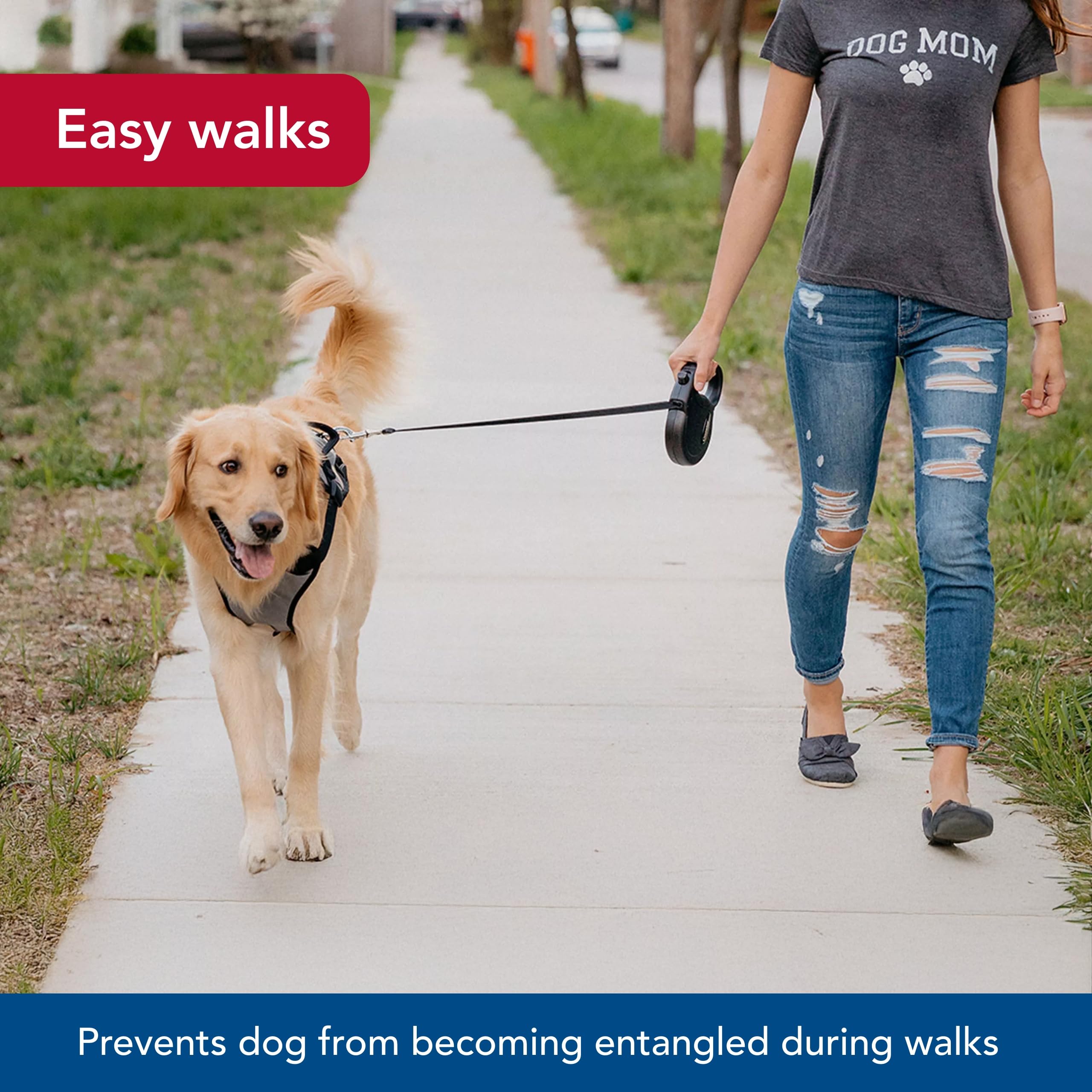 Coastal Pet Power Walker dog in park using retractable range safely