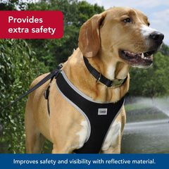 Coastal Pet reflective piping boosts visibility at dusk or dawn