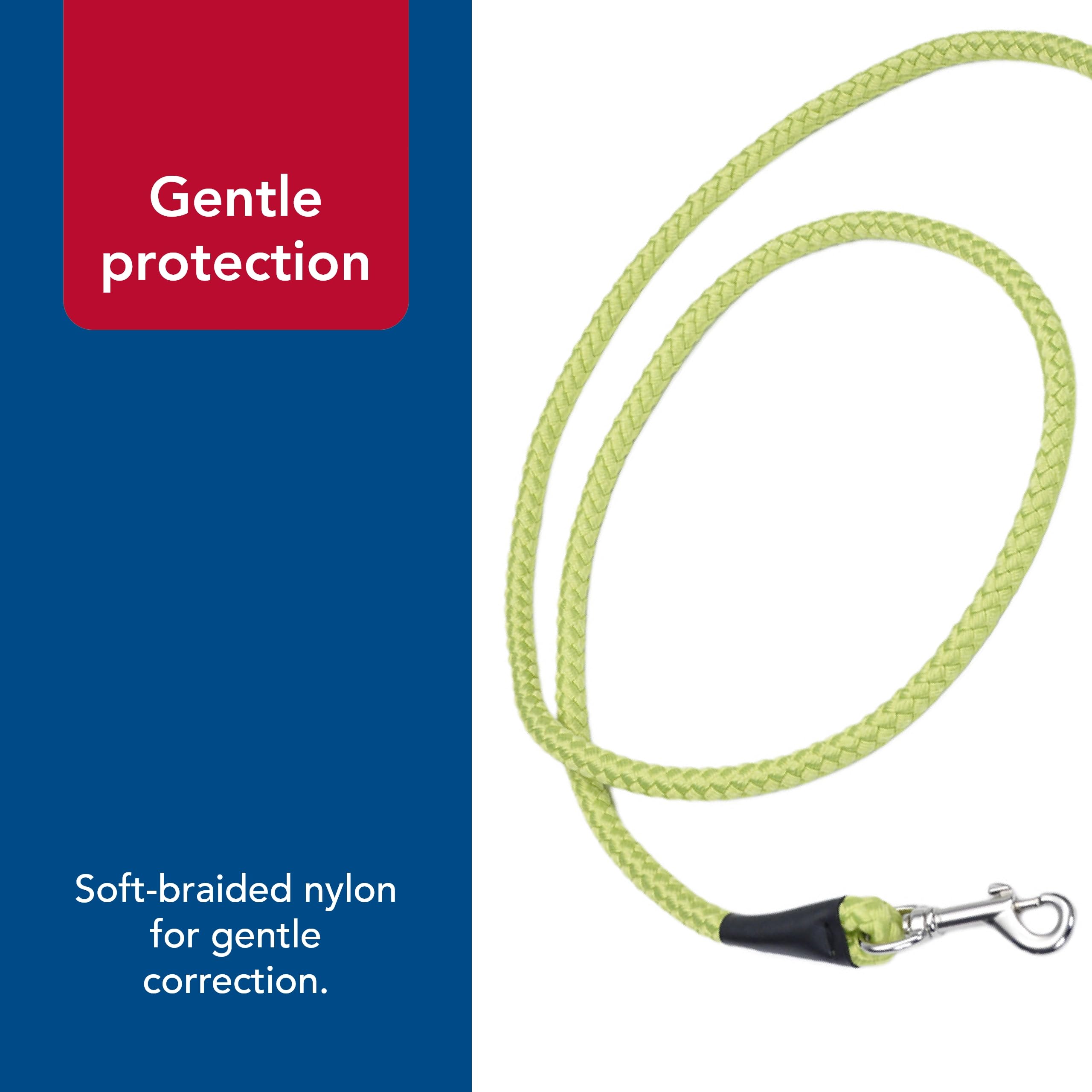 Coastal Pet Rope Dog Leash lime soft hand-hold reduces fatigue on long strolls