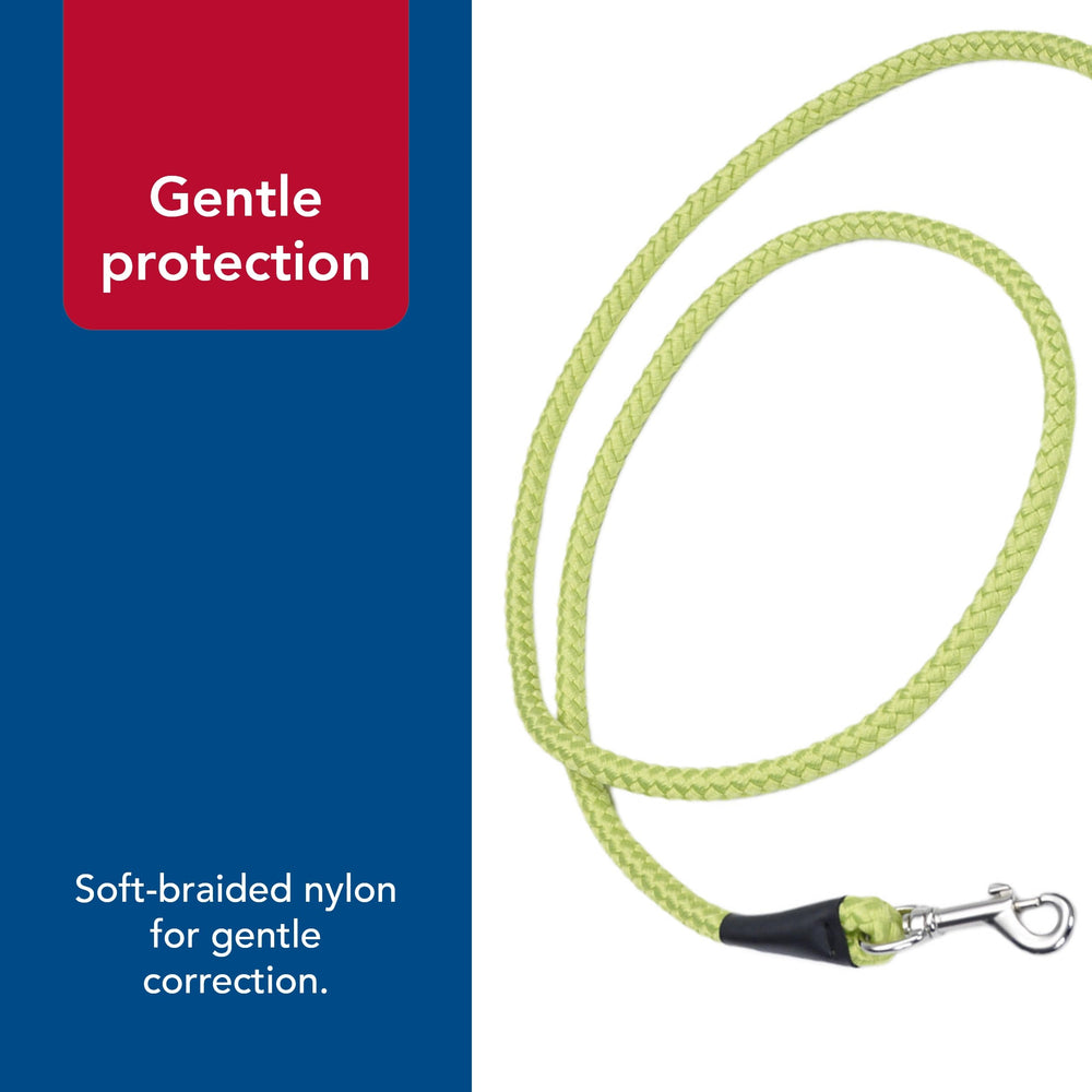 Coastal Pet Rope Dog Leash lime soft hand-hold reduces fatigue on long strolls