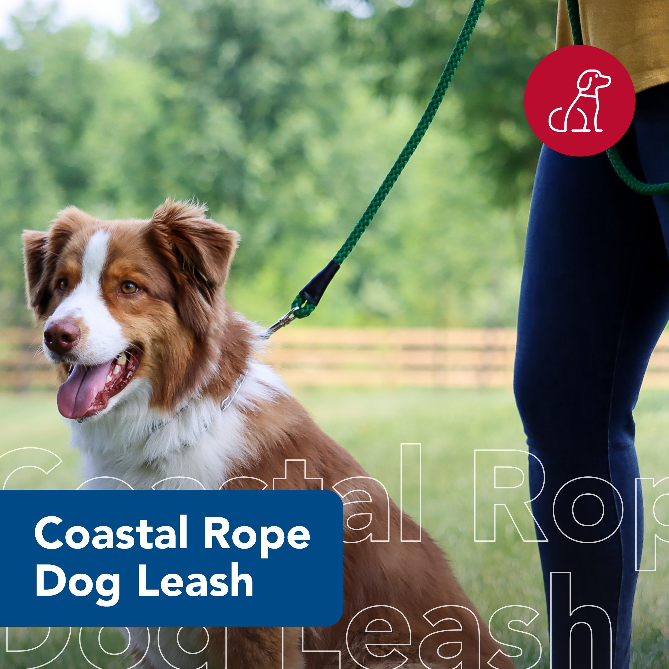 Coastal Pet rope leash with snap swivel hook prevents tangling during lively walks.