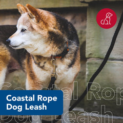 Coastal Pet Rope Dog Leash highlights the snap swivel hook for tangle-free wandering.