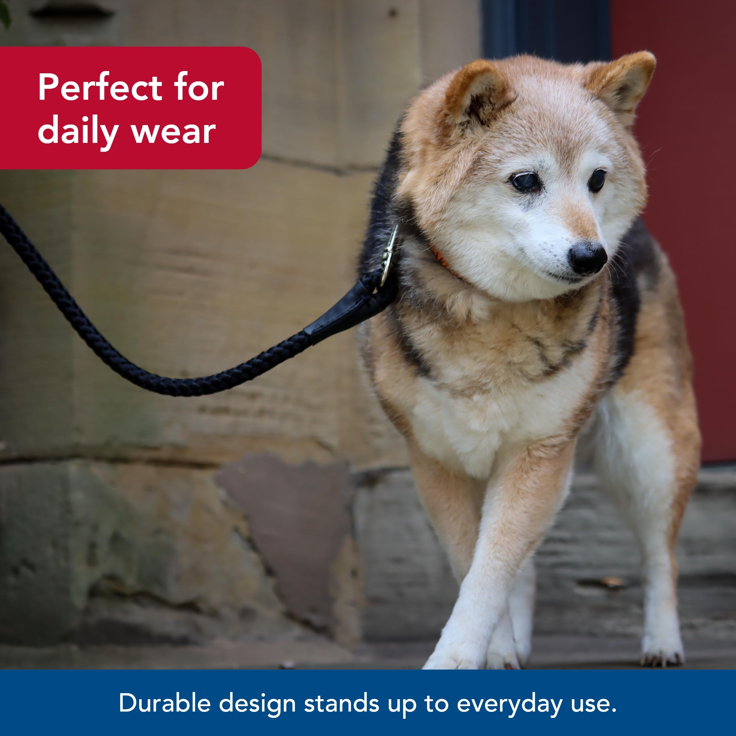 Coastal Pet Rope Dog Leash in action prevents tangles during active strolls.