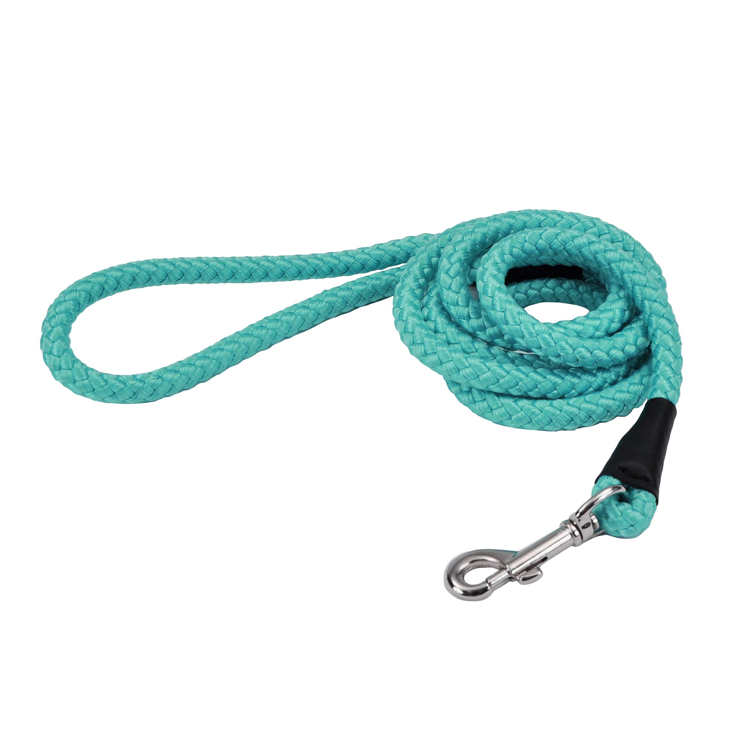 Coastal Pet rope dog leash teal soft-braided nylon offers comfortable grip and control.