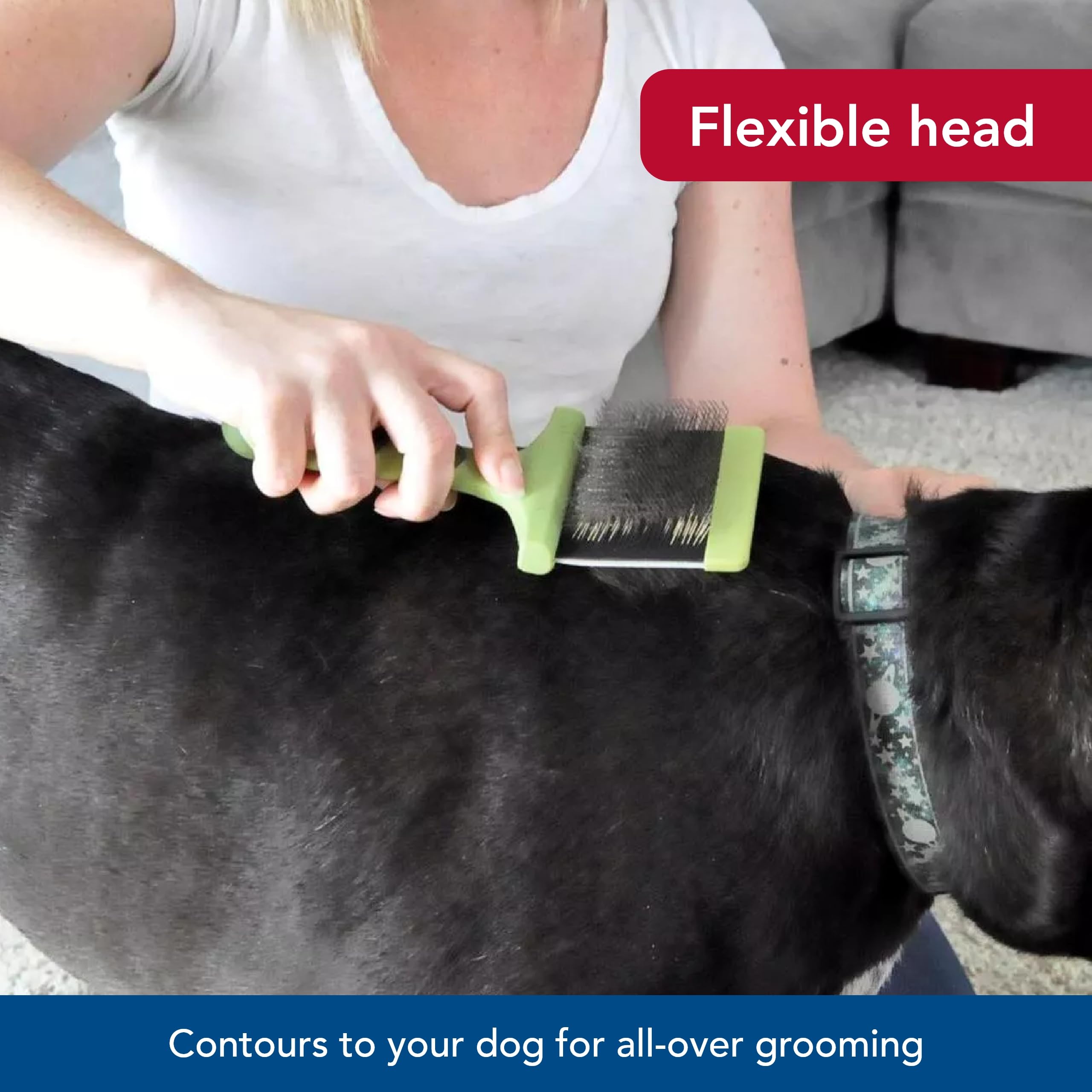 Coastal Pet Safari brush demonstrating shedding reduction during quick grooming sessions.