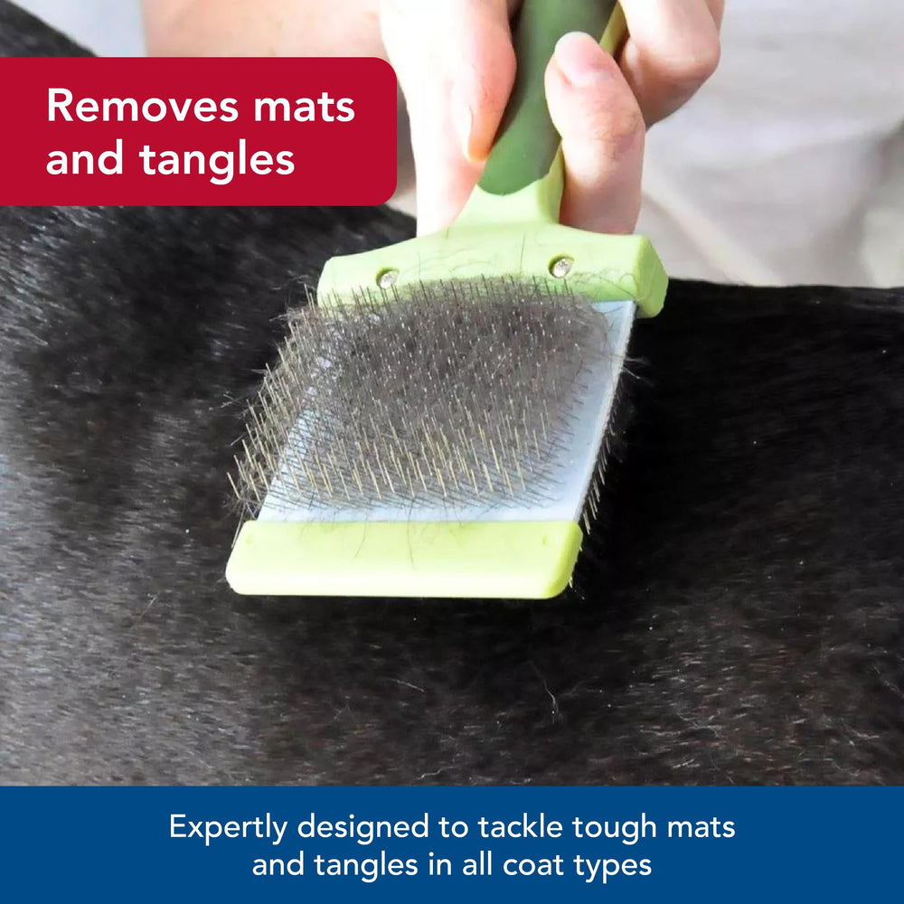 Coastal Pet Safari brush used on a small dog highlighting the ergonomic grip.