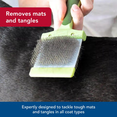 Coastal Pet Safari brush used on a small dog highlighting the ergonomic grip.