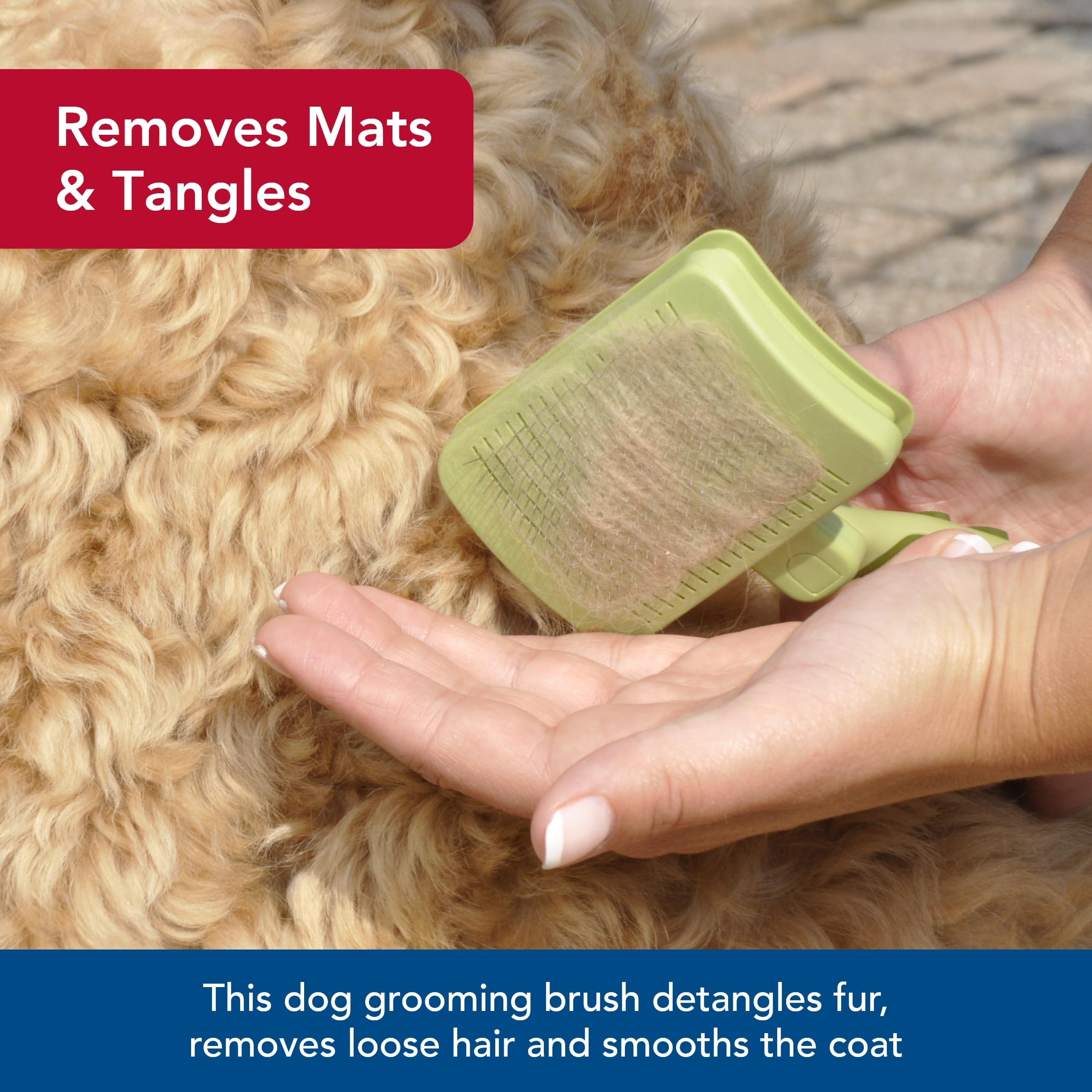 Coastal Pet Safari brush with non-slip grip during grooming after outdoor adventures.