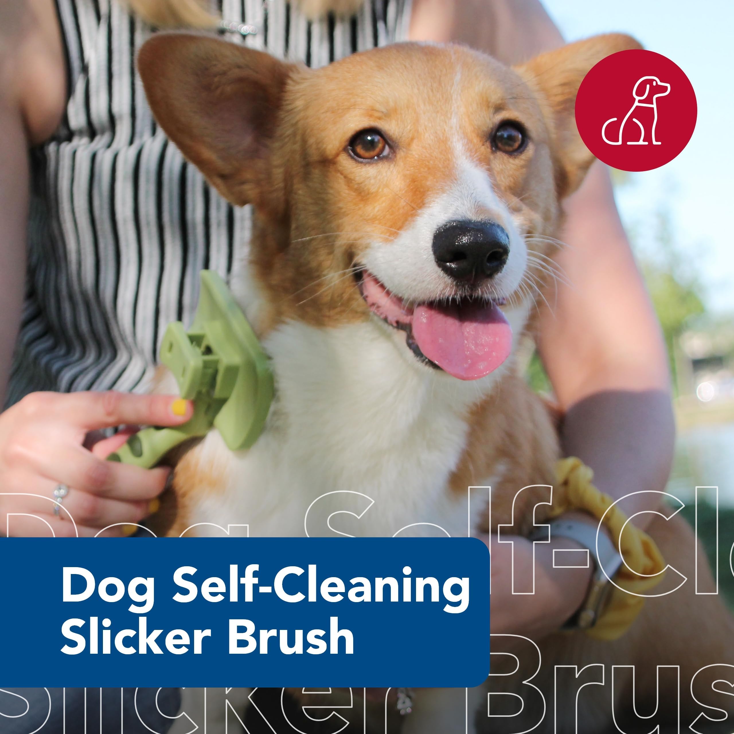Coastal Pet Safari brush shown with retractable pins for quick cleanup between sessions.