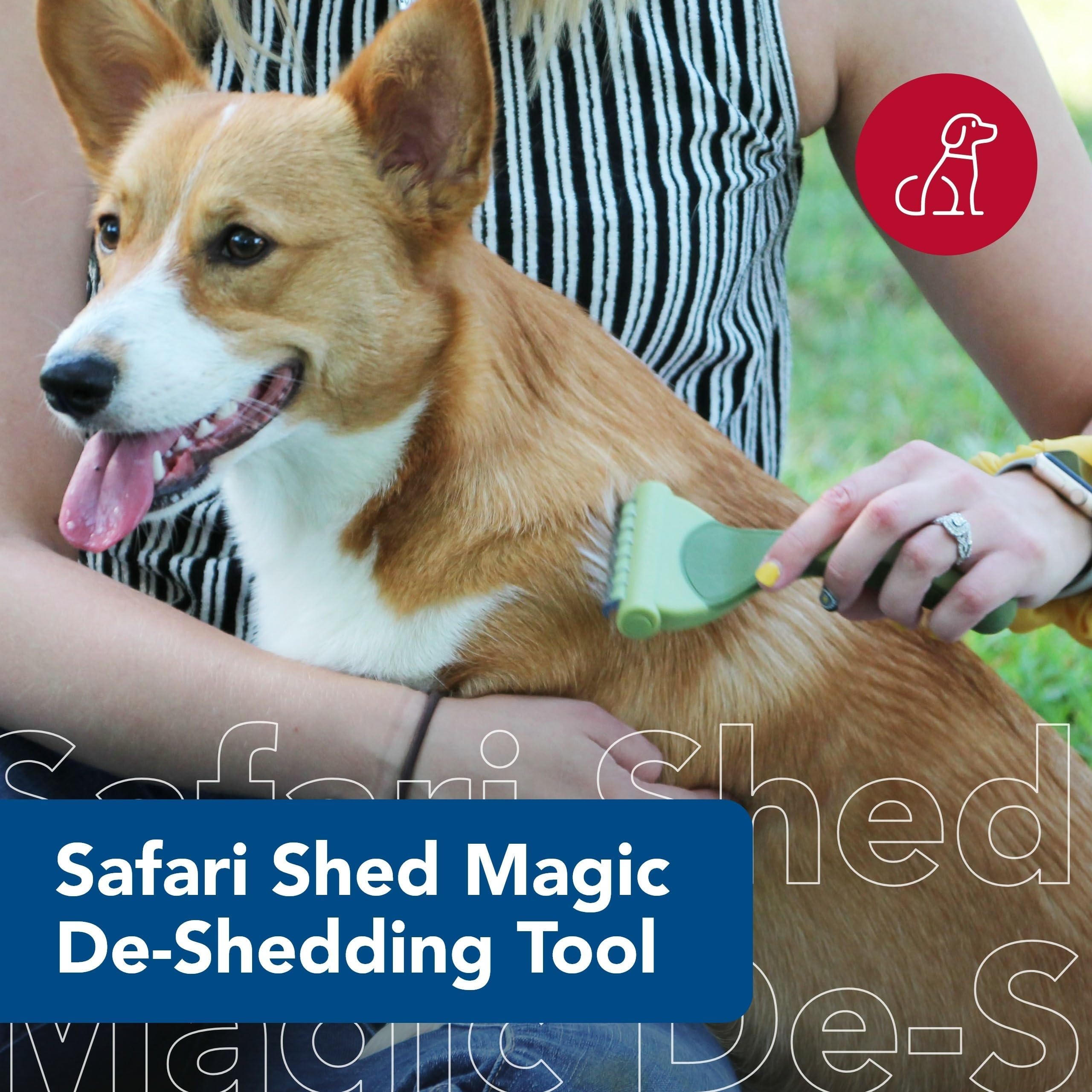 Coastal Safari Shed Magic blades close-up showing stainless steel deshedding blades for gentle brushing.