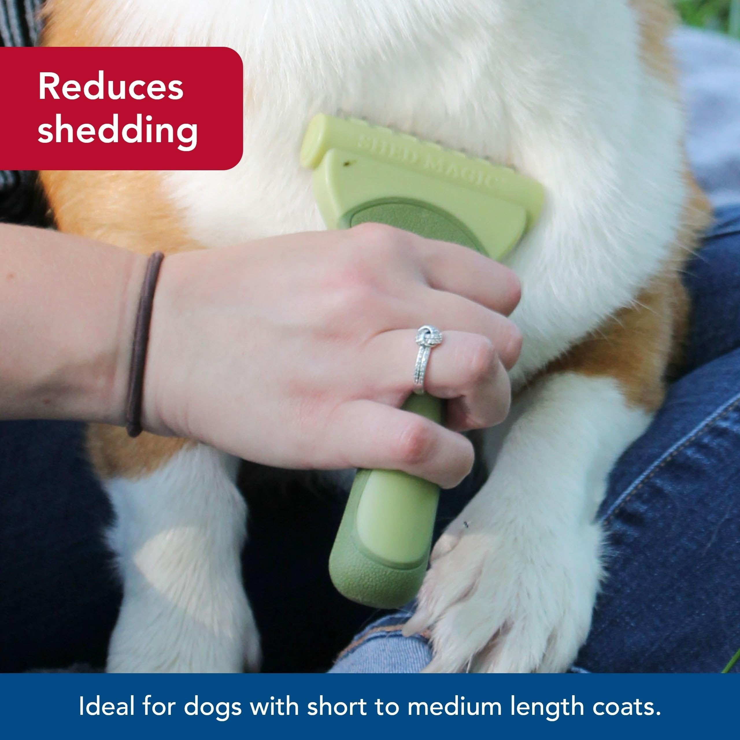 Coastal Safari Shed Magic dog grooming session image shows calm, tangle-free brushing.