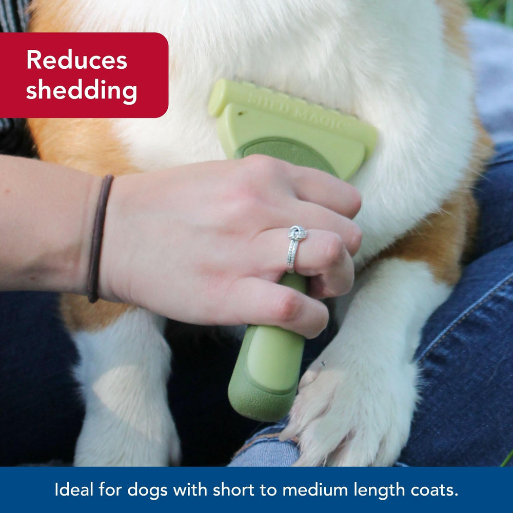 Coastal Safari Shed Magic dog grooming session image shows calm, tangle-free brushing.