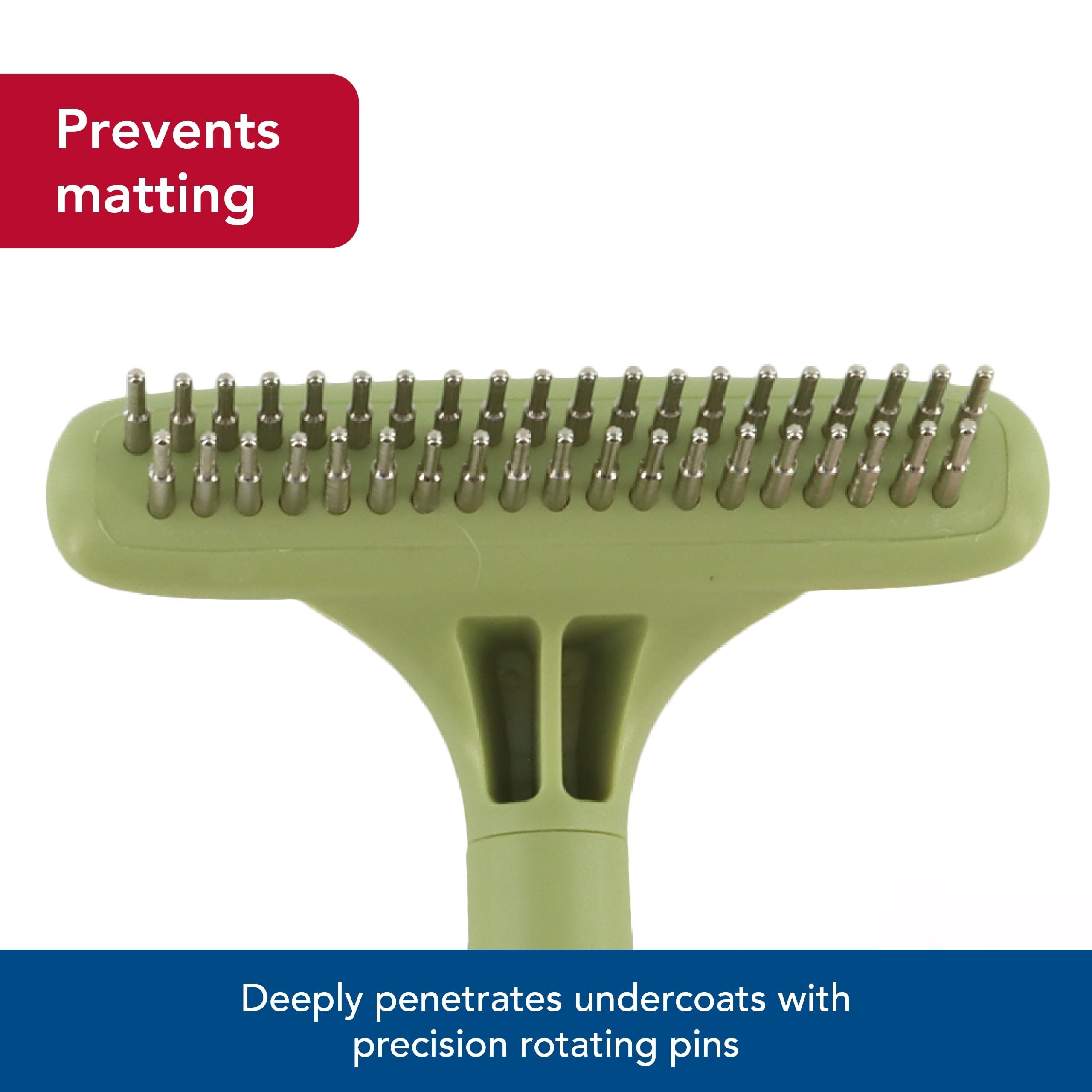 Coastal Pet Safari undercoat rake double-row pins detail highlights robust design for tough undercoats.