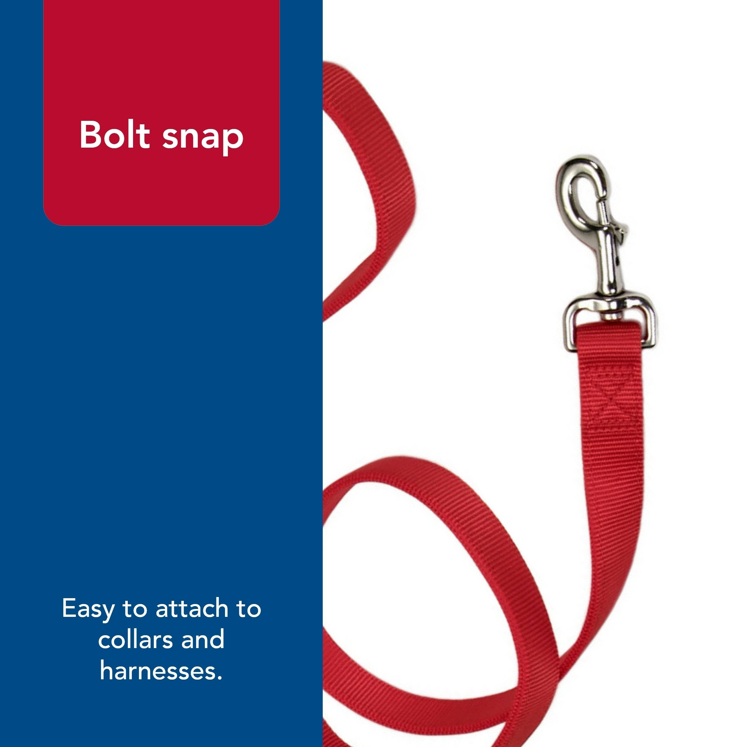 Coastal Pet 4-foot leash suitable for small to large dogs.