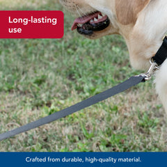 Coastal Pet Single-Ply Dog Leash black color fade-resistant for long-lasting style.