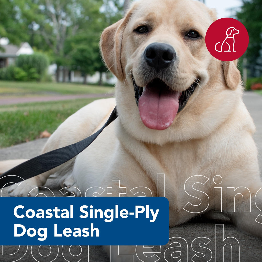 Coastal Pet Single-Ply Dog Leash handle ergonomic comfort for easy daily walks.