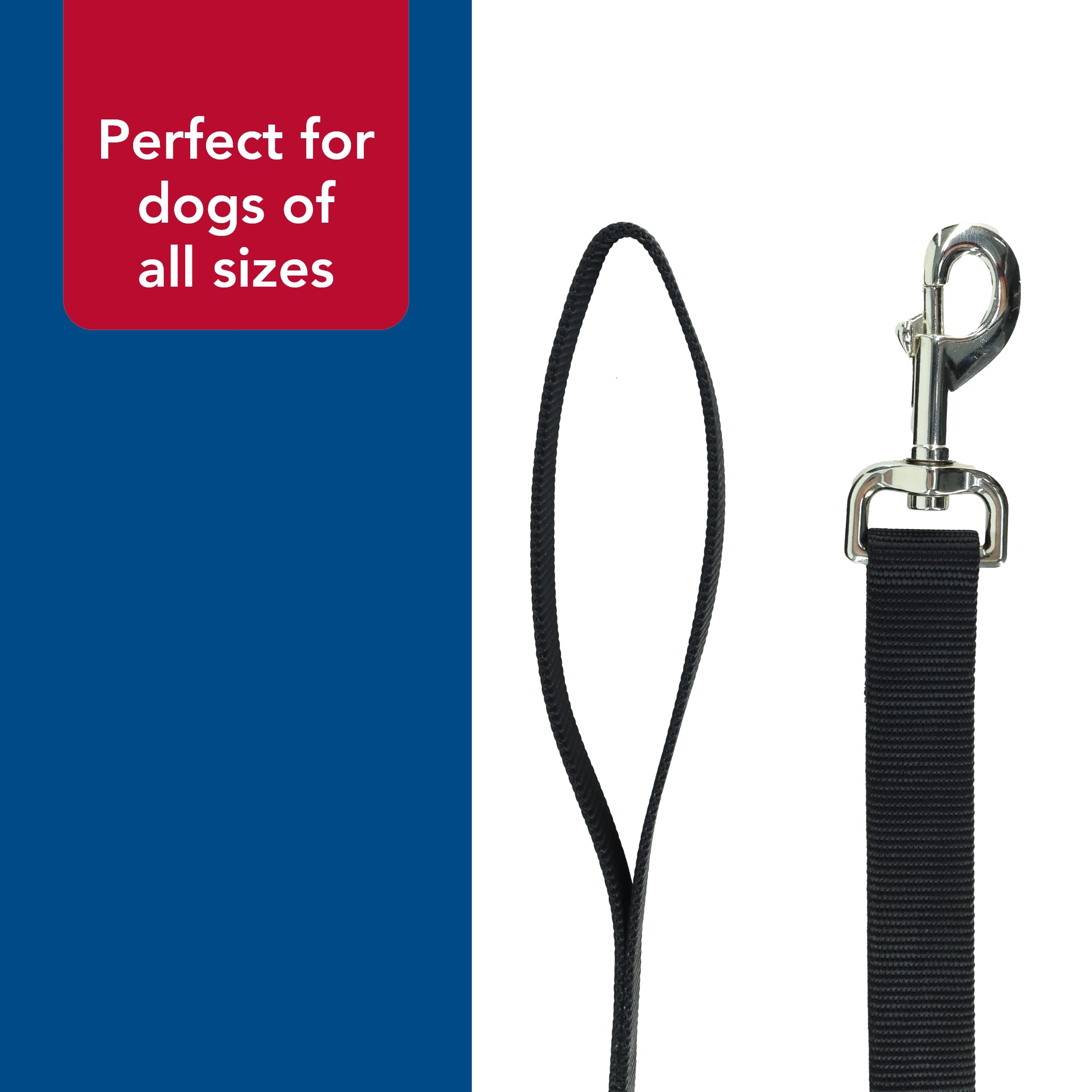Coastal Pet Single-Ply Dog Leash 6-foot strap provides balanced freedom and restraint.